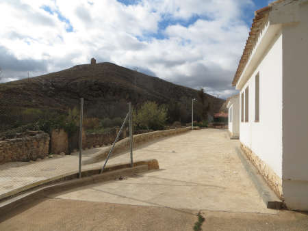 Adiós a adelfas, hierba, rosales, parra... hola cemento gris