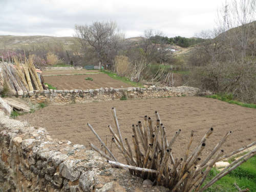 Huertos bien y recién trabajados en la vega de Blesa