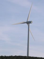 Hacia los aerogeneradores