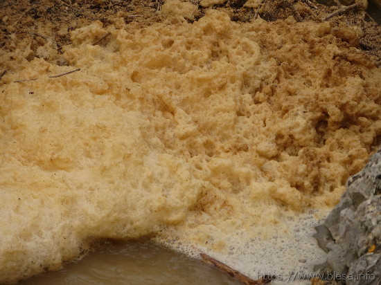 Contaminación del agua superficial en el río Aguasivas, antes de la población de Blesa