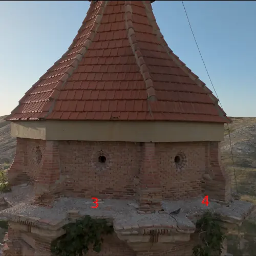 Higueras creciendo en la torre de la iglesia parroquial de Blesa.