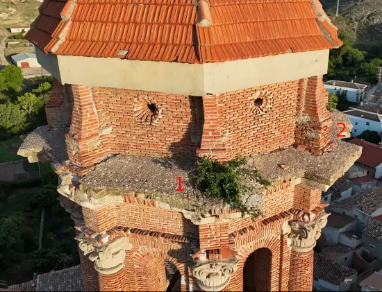 Higueras creciendo en la torre de la iglesia parroquial de Blesa.