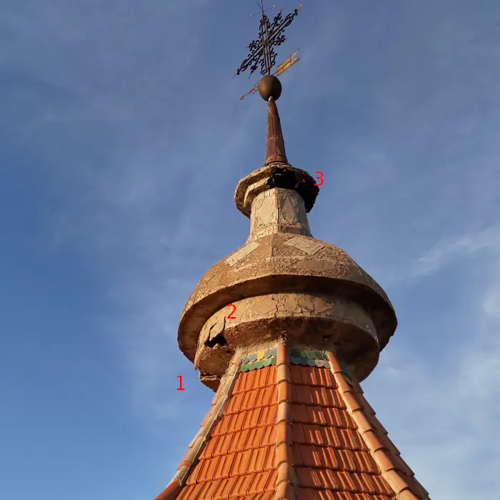 Higueras creciendo en la torre de la iglesia parroquial de Blesa.