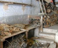 Interior del horno Nuevo