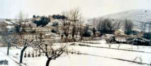 Los huertos nevados en Blesa