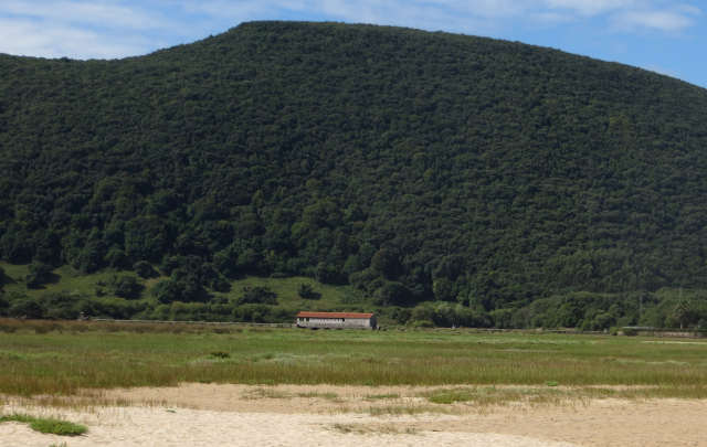 Panorámica de la marisma, con marea baja, y al fondo el muro y el molino de Santa Olaja. Foto FJLA