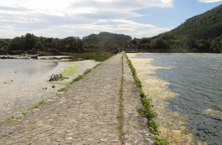 muro de contención de la represa de la marisma para el molino de Santa Olaja (Cantabria). Foto. F.Javier Lozano