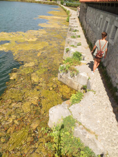 Tajamares de acceso al cárcavo del molino de Santa Olaja (Cantabria) Tuvo nueve muelas