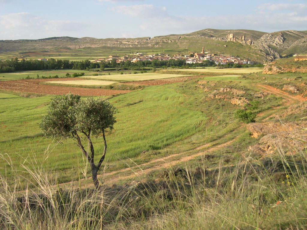 Huesa del Común