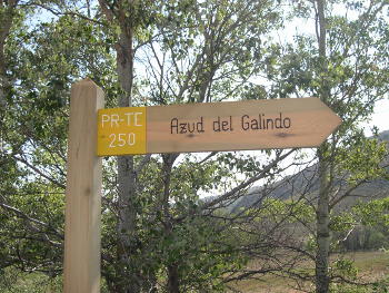 El final de la ruta