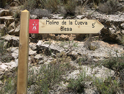 Ruta xxx