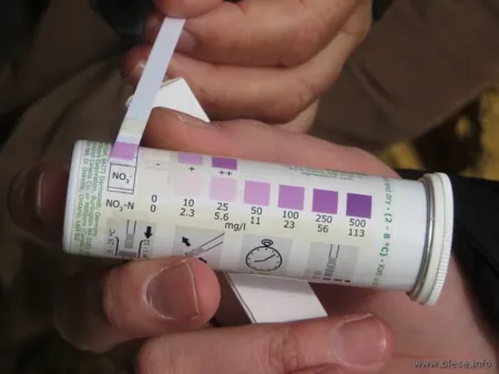 22 de marzo 2025. HidrogeoDía 2025 (Teruel). Alacón, manantial de San Miguel. Medición de contaminación por nitratos en el afloramiento de agua