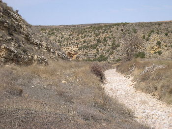 El río Aguasvivas, cauce seco en el término de Moneva