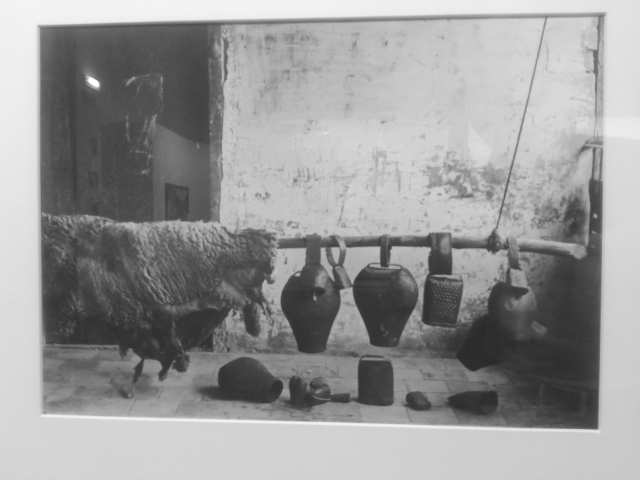 Exposición fotografía etnográfica Ricardo Compairé, Universidad Zaragoza