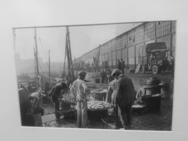 Exposición fotografía etnográfica Ricardo Compairé, Universidad Zaragoza